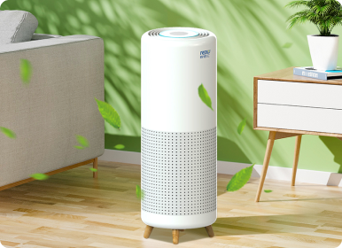 air purifier classification diagram